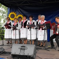 V Festyn Rodzinny 