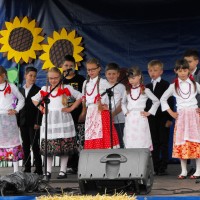V Festyn Rodzinny 