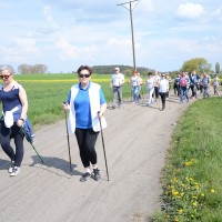 Marsz z kijkami 03.05.2016
