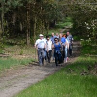 Marsz z kijkami 03.05.2016
