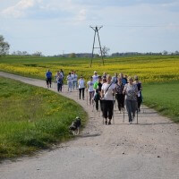 Marsz z kijkami 03.05.2016